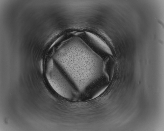 X0000090990020200708241436