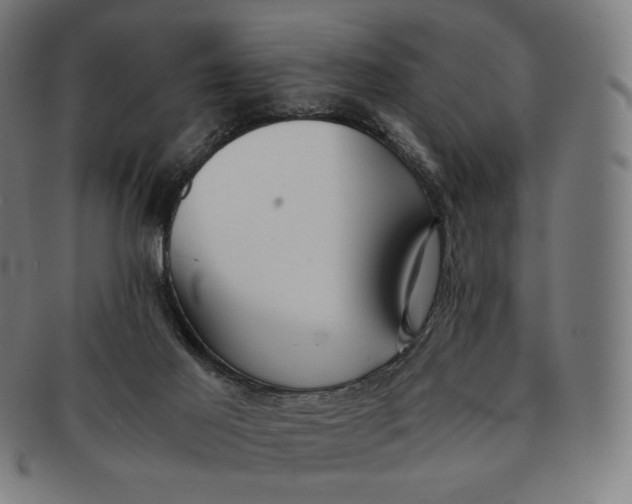 X0000090990021200708241436