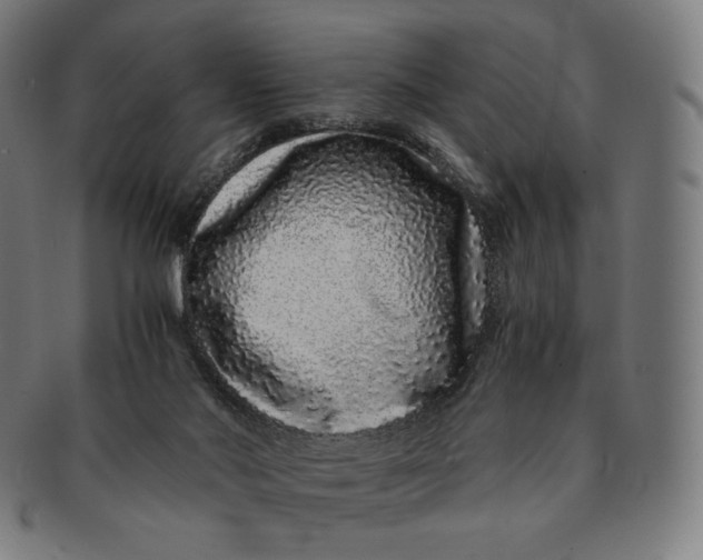 X0000090990022200708241436