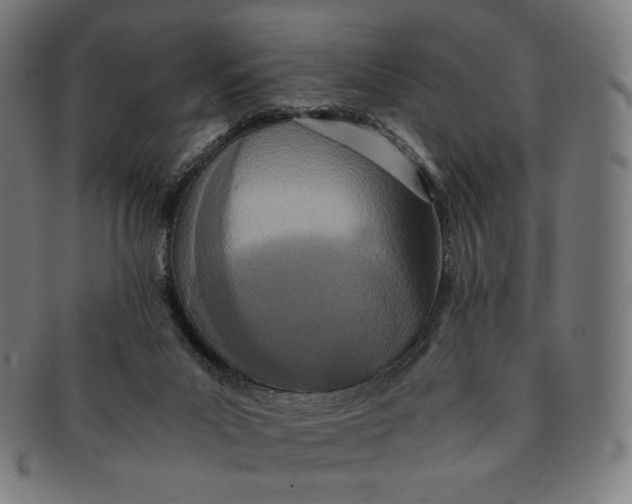 X0000090990023200708241436