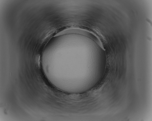 X0000090990024200708241436