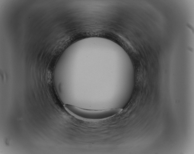 X0000090990025200708241436