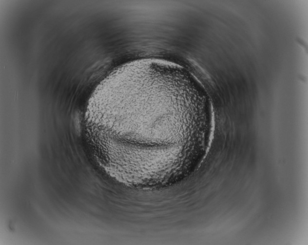 X0000090990026200708241436