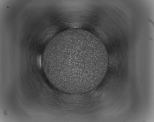 X0000090990028200708241436