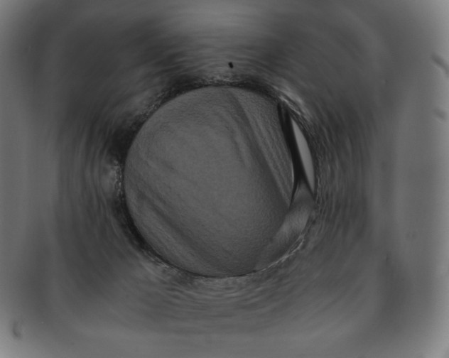 X0000090990029200708241436