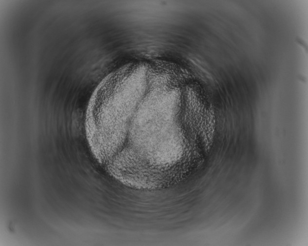 X0000090990030200708241436