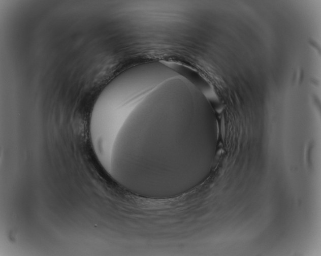 X0000090990031200708241436