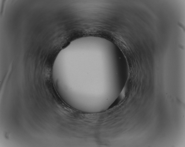 X0000090990033200708241436