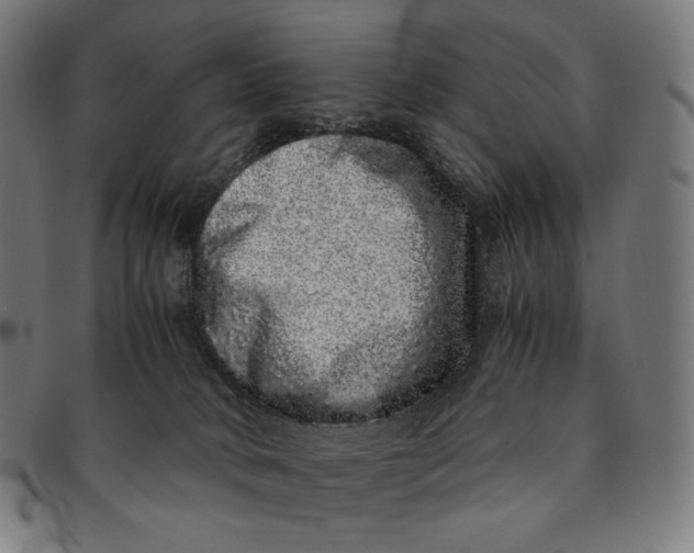 X0000090990034200708241436