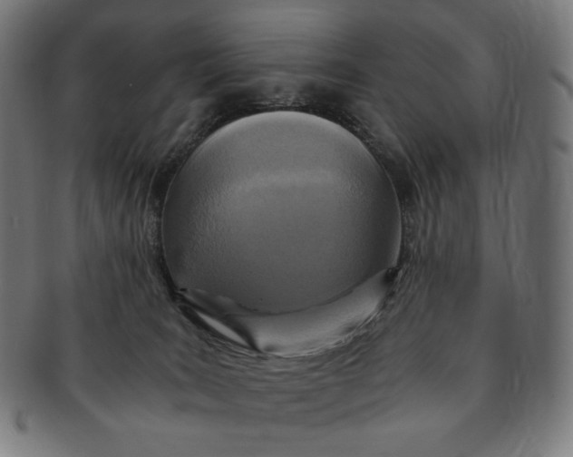 X0000090990035200708241436