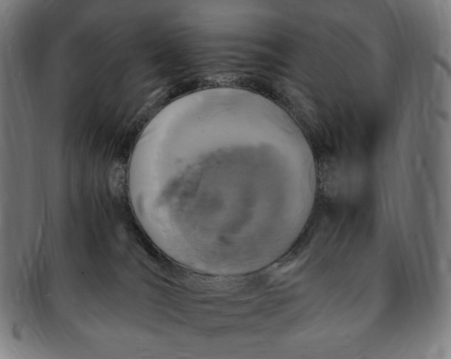 X0000090990036200708241436