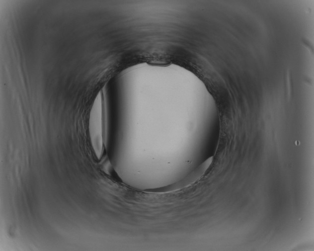 X0000090990037200708241436