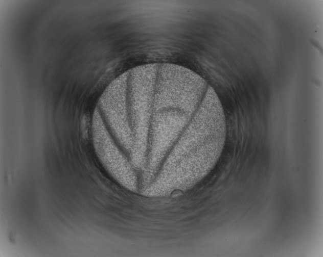 X0000090990038200708241436