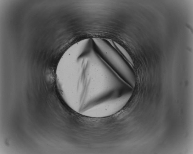 X0000090990040200708241436