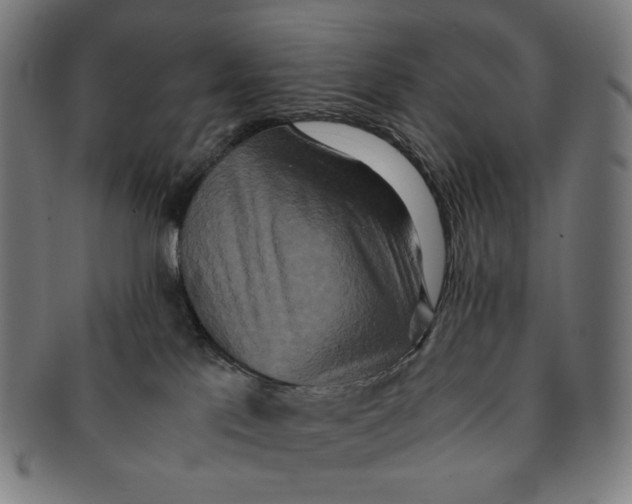 X0000090990041200708241436