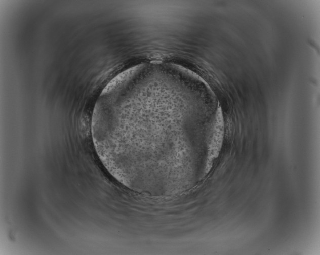 X0000090990043200708241436