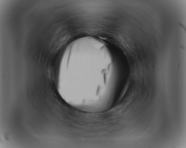 X0000090990044200708241436