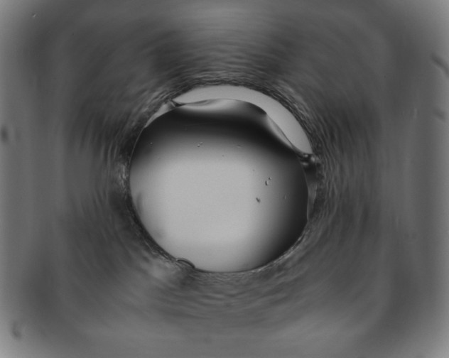 X0000090990045200708241436