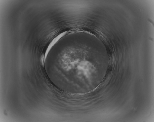 X0000090990047200708241436