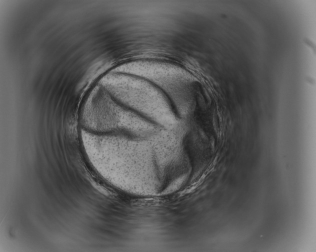 X0000090990050200708241435