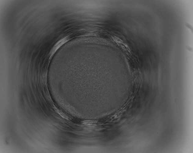 X0000090990051200708241435