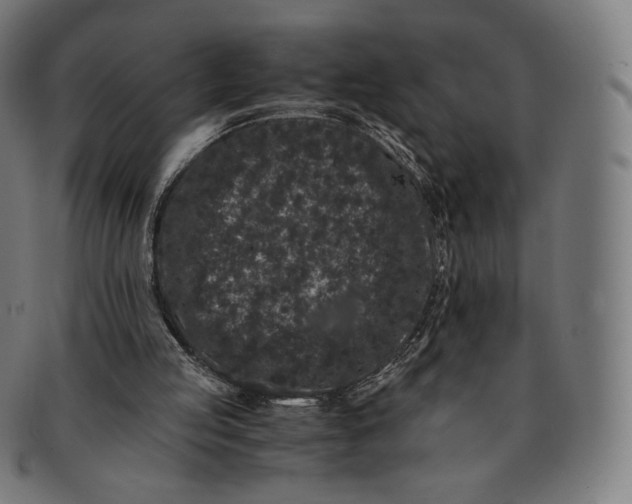 X0000090990053200708241435