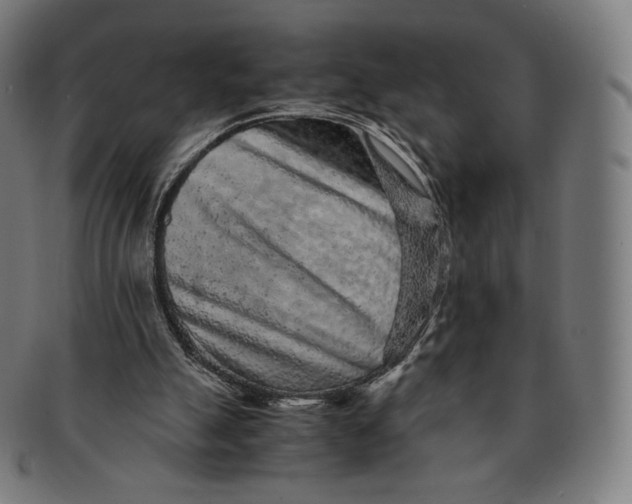 X0000090990055200708241435