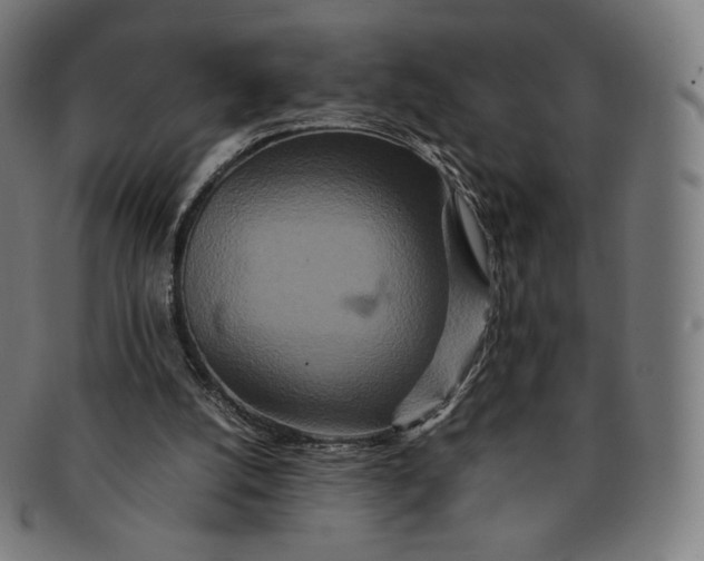 X0000090990056200708241435