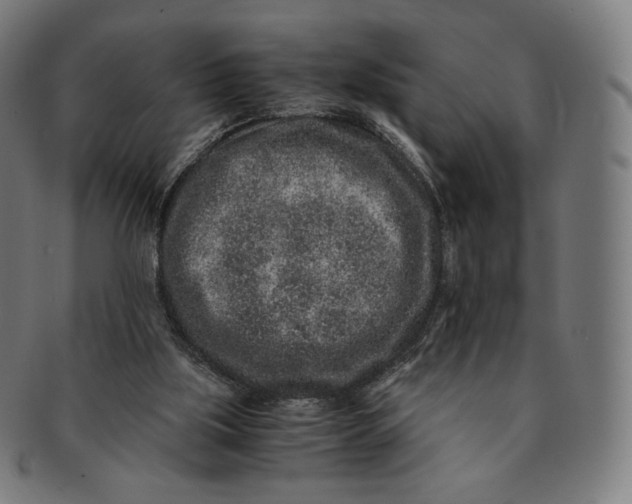 X0000090990059200708241435