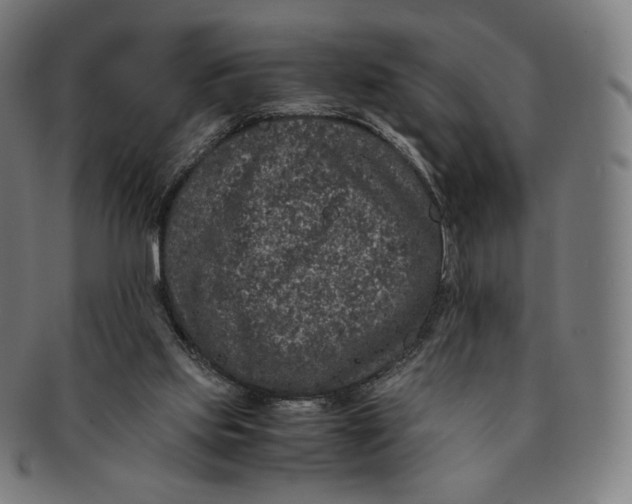 X0000090990061200708241435