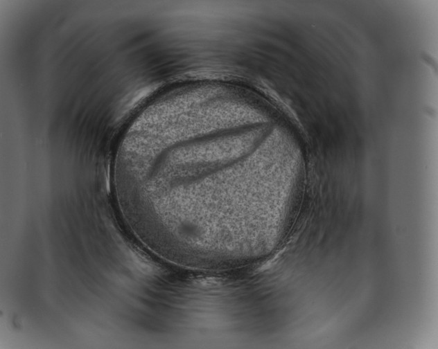 X0000090990062200708241435