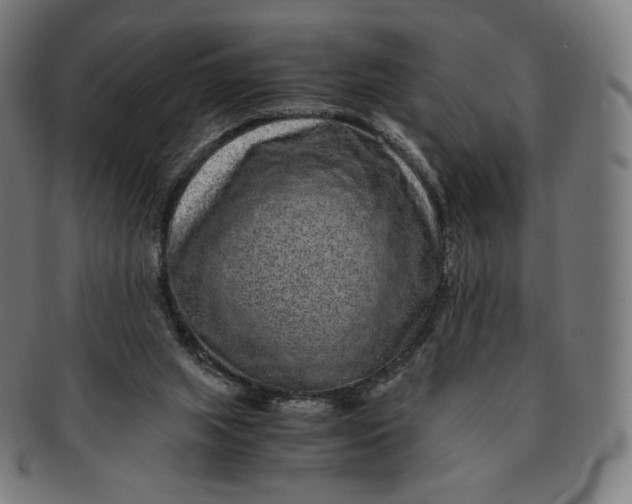 X0000090990063200708241435