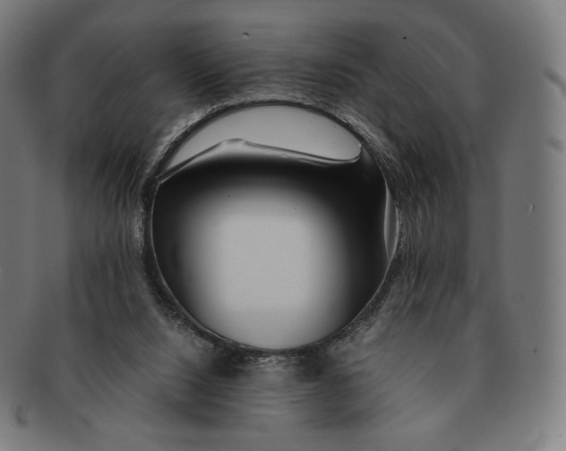 X0000090990064200708241435