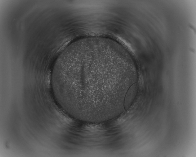 X0000090990065200708241435