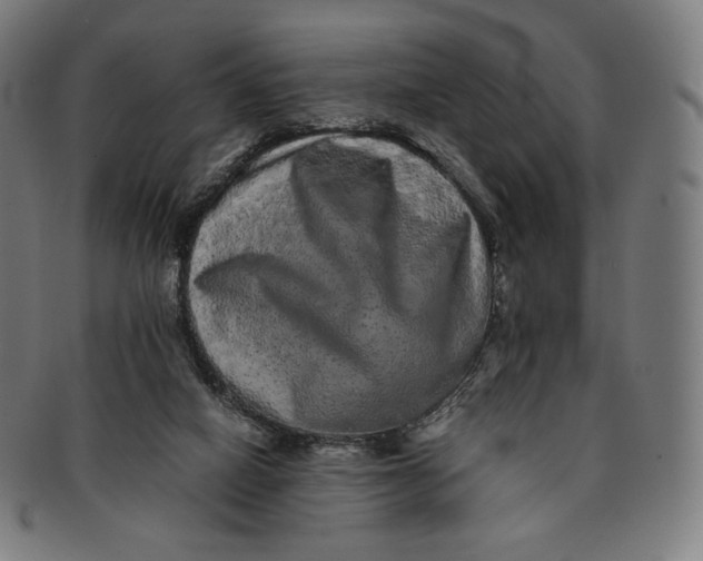 X0000090990066200708241435