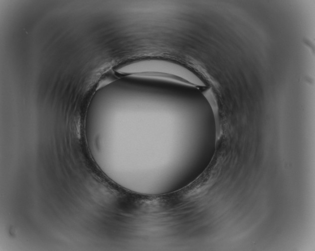 X0000090990068200708241435