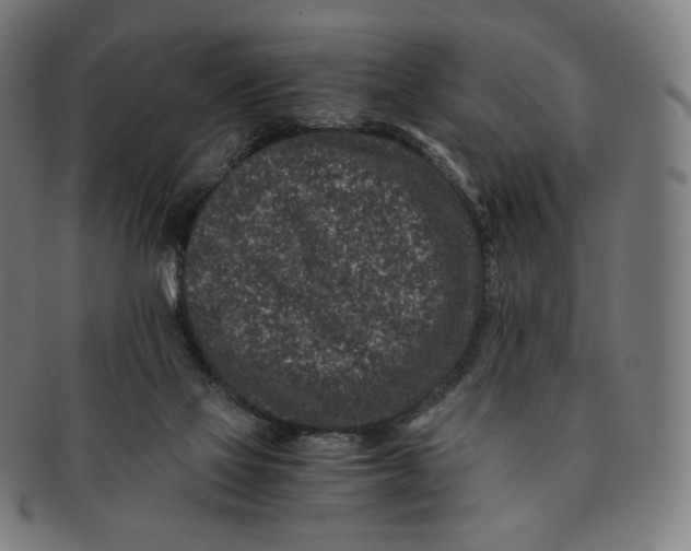 X0000090990069200708241435