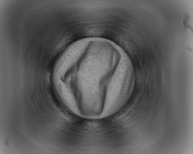 X0000090990071200708241435