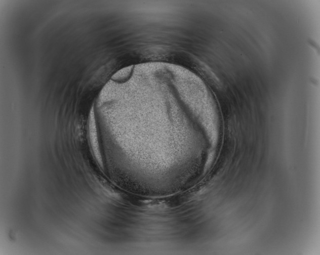 X0000090990073200708241435