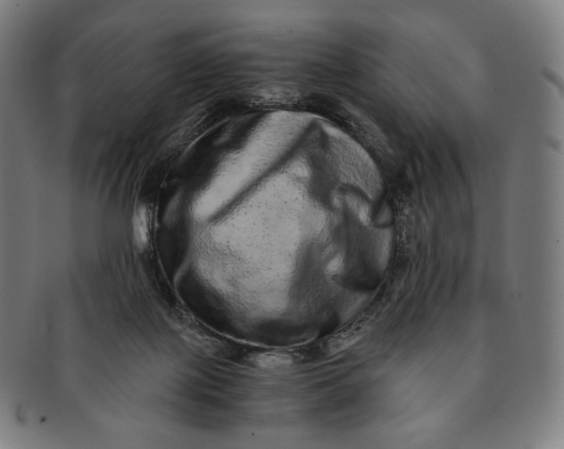 X0000090990075200708241436