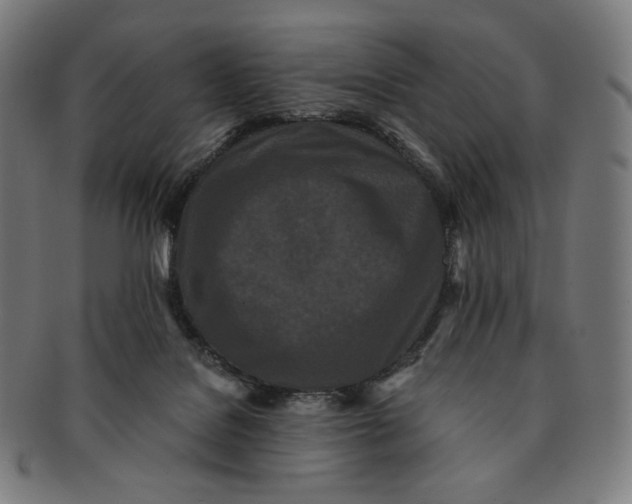 X0000090990076200708241436