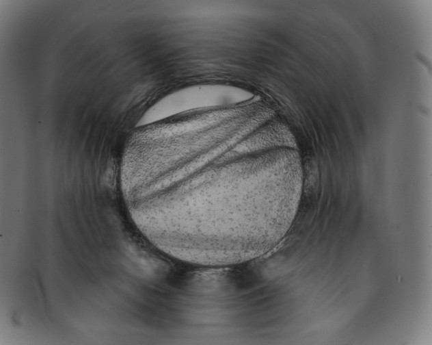 X0000090990078200708241436