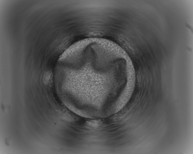 X0000090990079200708241436