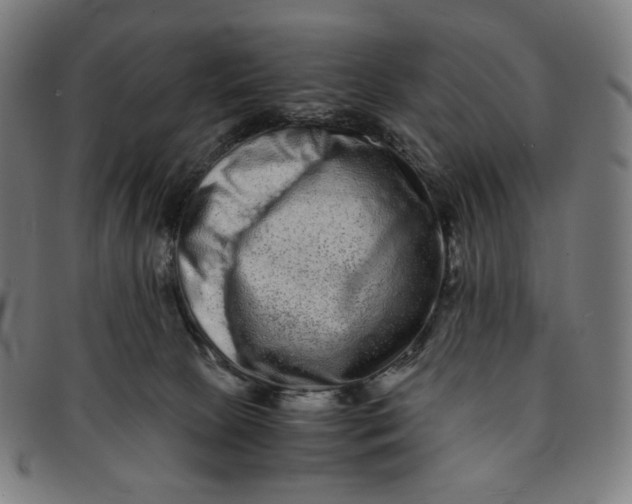 X0000090990081200708241436