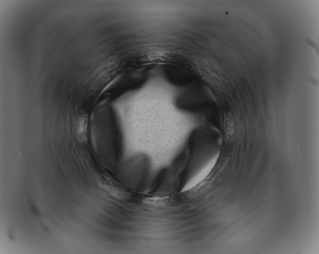 X0000090990082200708241436