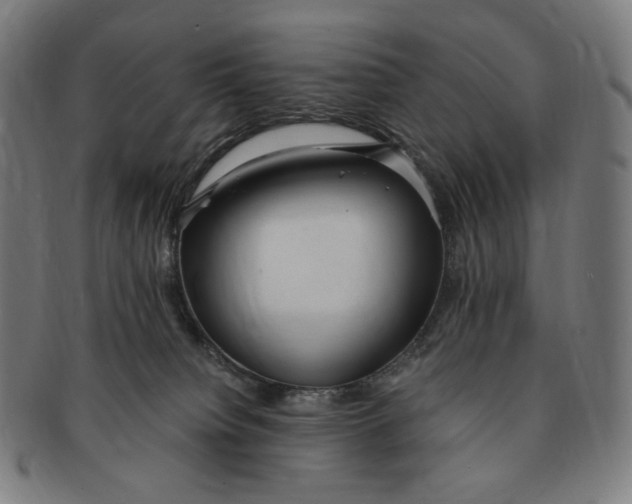 X0000090990084200708241436