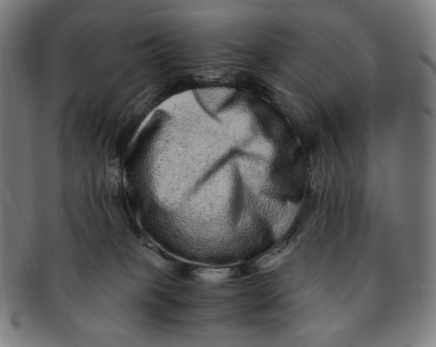 X0000090990085200708241436