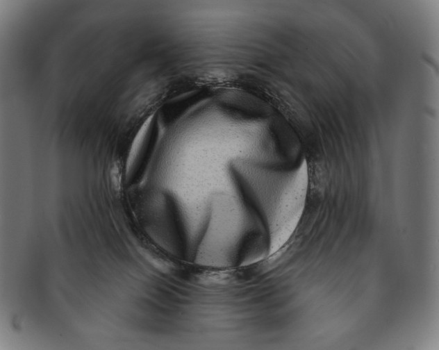 X0000090990086200708241436