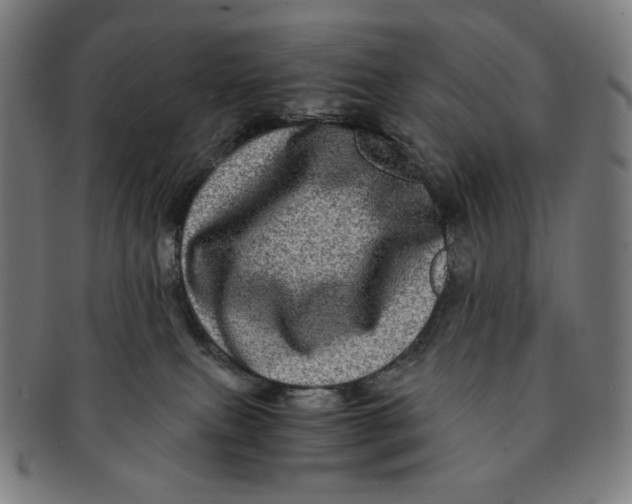 X0000090990087200708241436