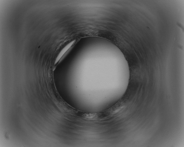 X0000090990088200708241436